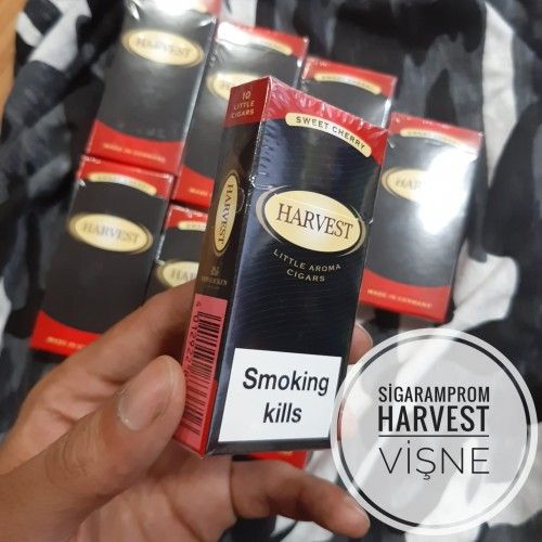 Djarum Vanilla En Uygun Garantili